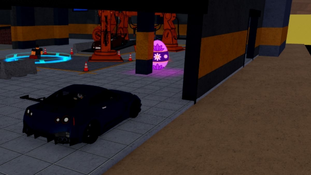 Emplacement des œufs 31