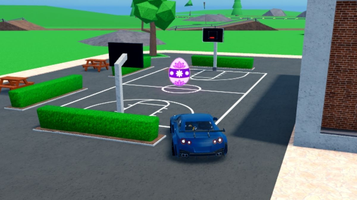 Emplacement des œufs 32