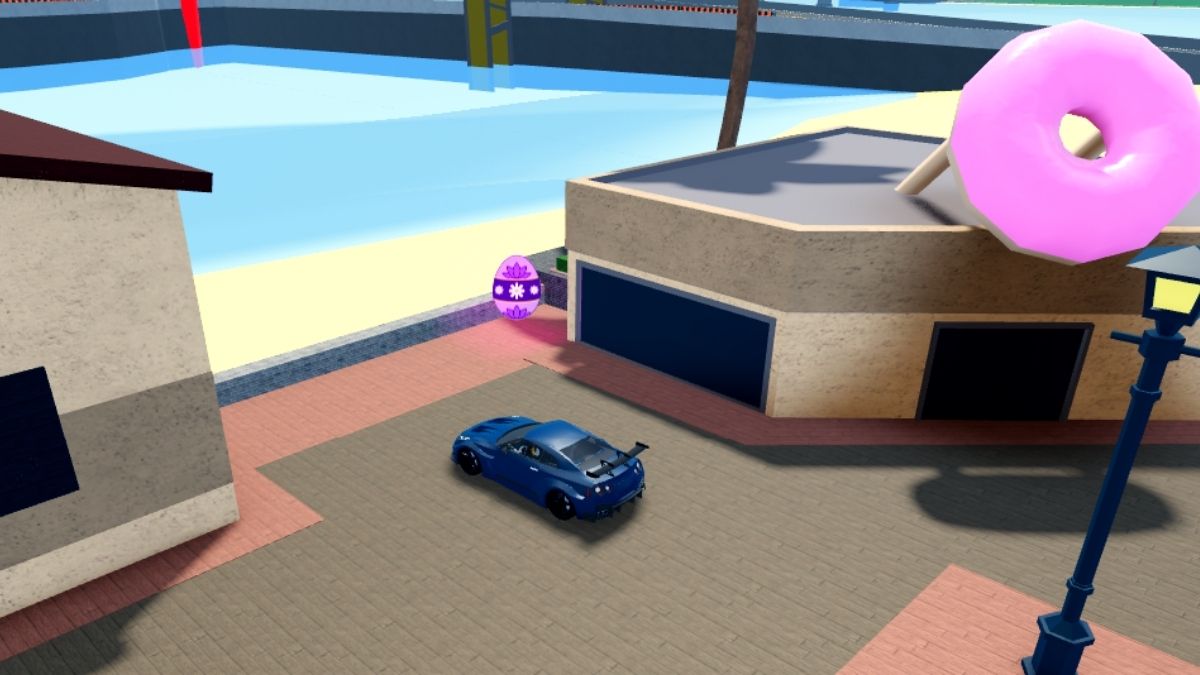 Emplacement des œufs 30