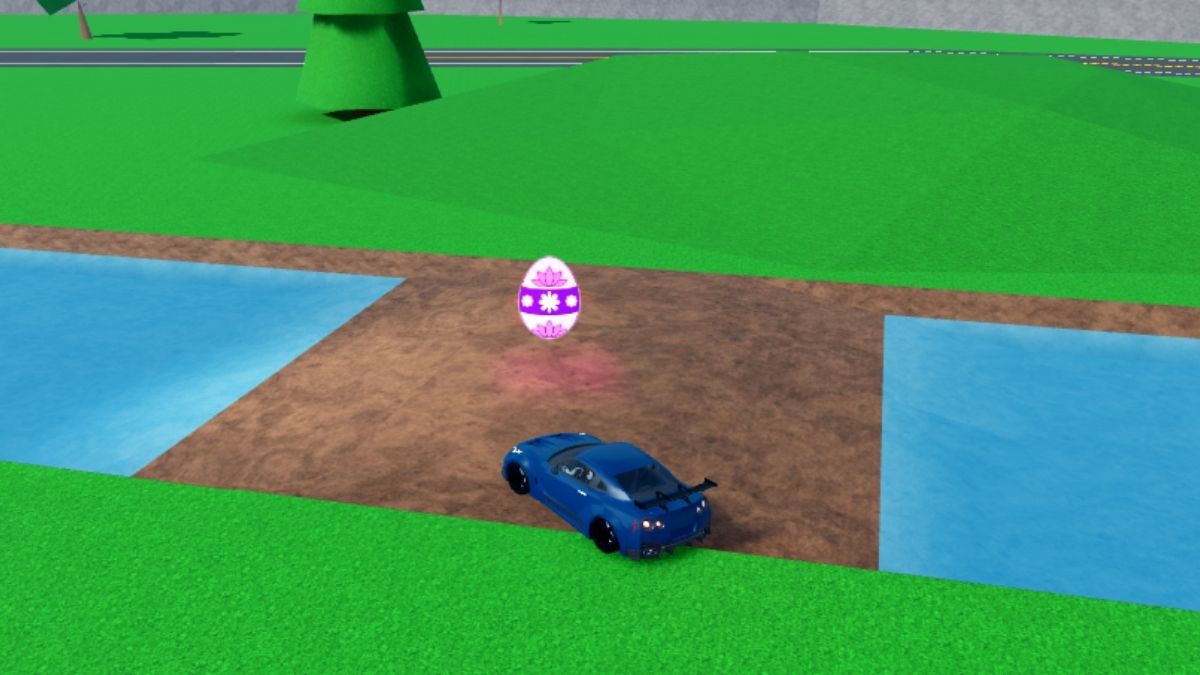 Emplacement des œufs 34