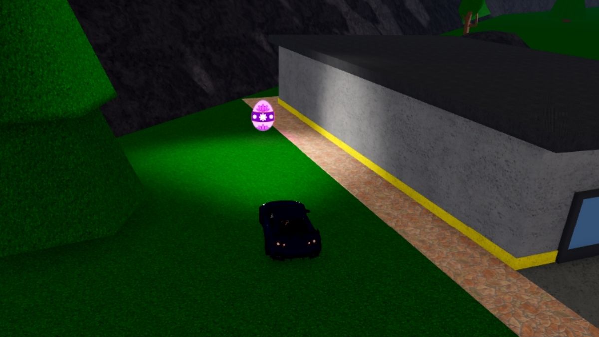 Emplacement des œufs 36