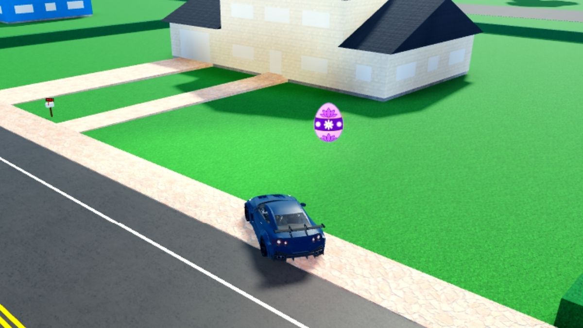 Emplacement des œufs 37