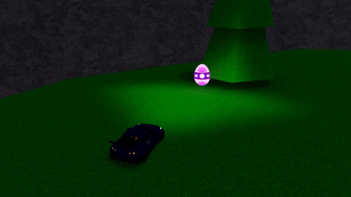 Emplacement des œufs 40