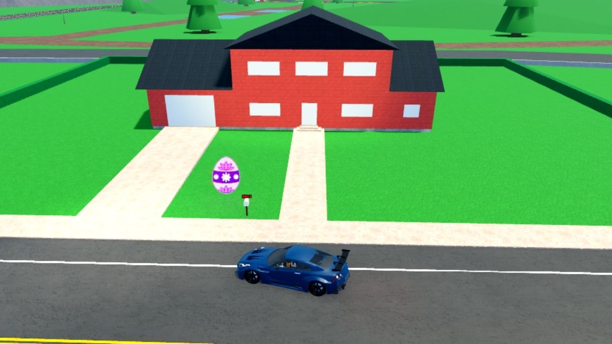 Emplacement des œufs 38