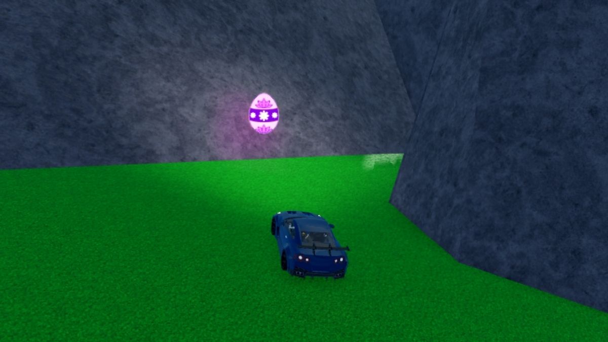 Emplacement des œufs 41