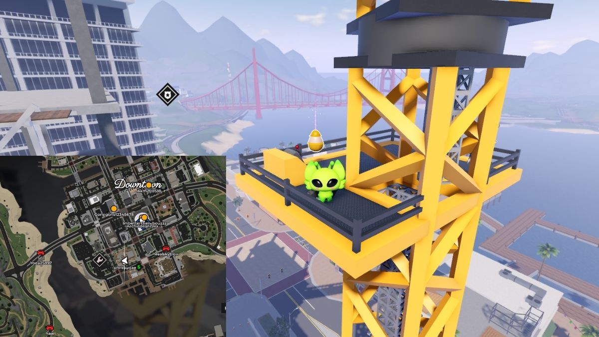 Emplacement des œufs de construction