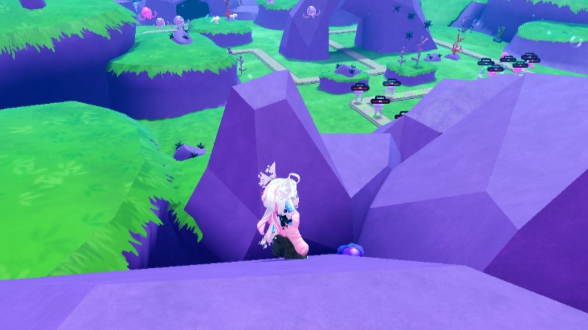 Emplacements des œufs en gelée