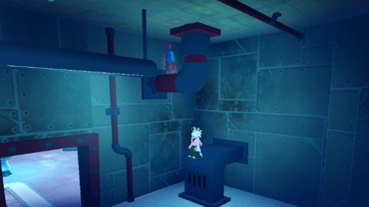 Emplacement des œufs