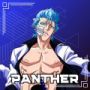 Image du jeu Panthère