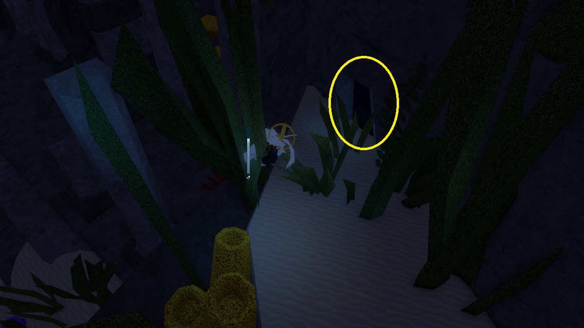 L'entrée de Mermaid Cove à Fisch