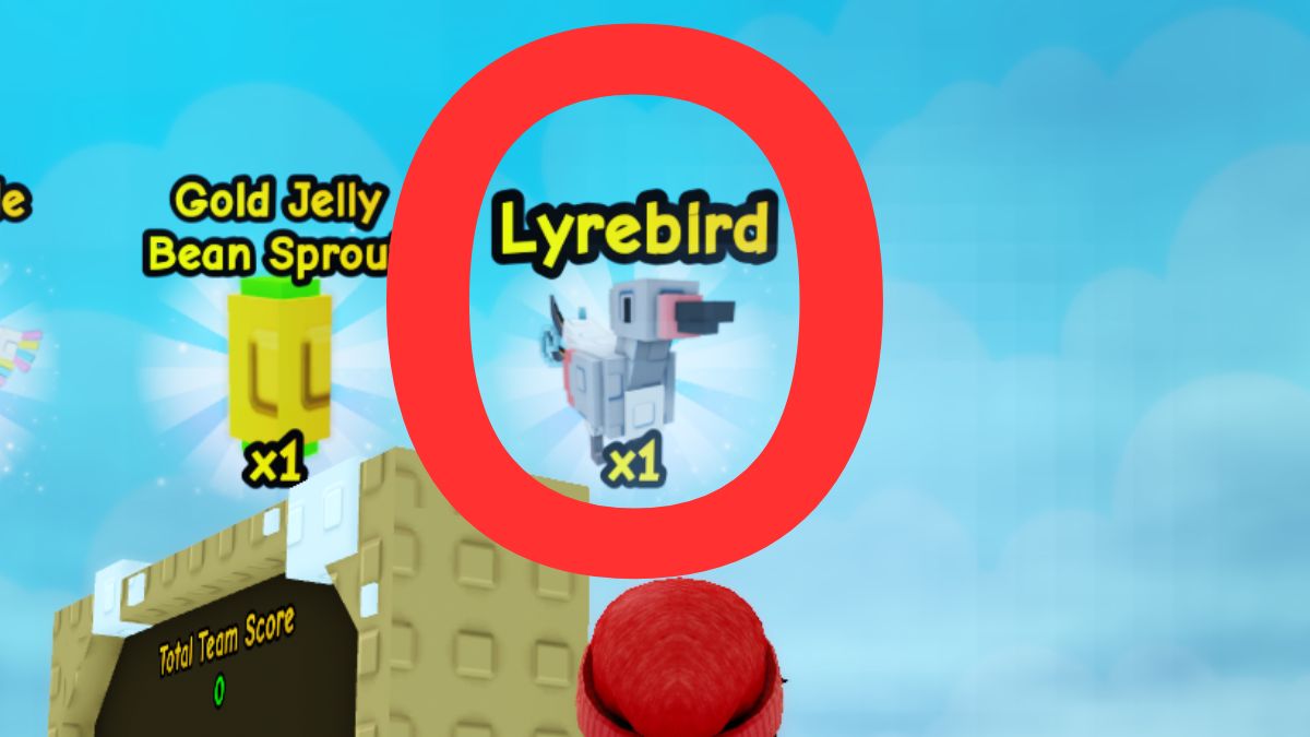 Lyrebird Pet cultive un jardin