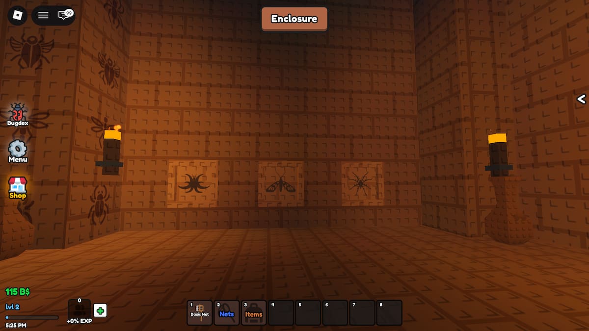 Tombe secrète dans Catch Bugs