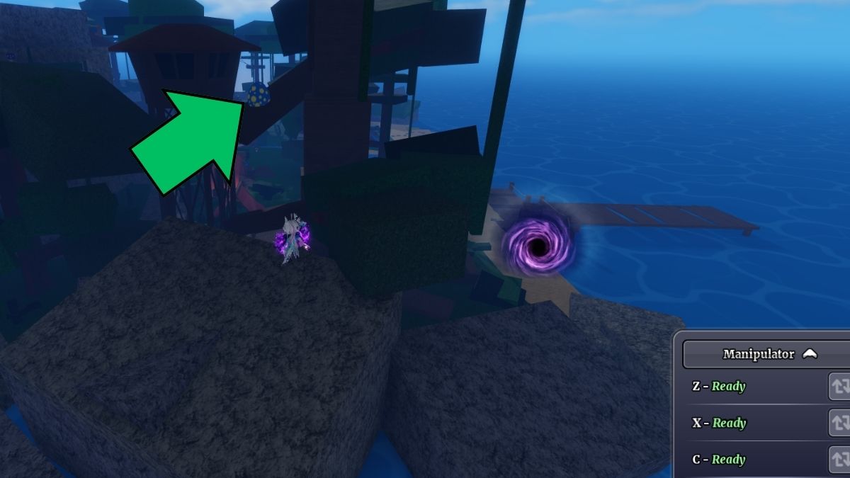 Emplacement des œufs de Jungle Island dans Sailor Piece