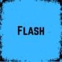 Image du jeu Flash