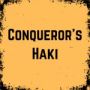 Image du jeu Conquérants Haki