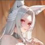 Image du jeu Fox Spirit
