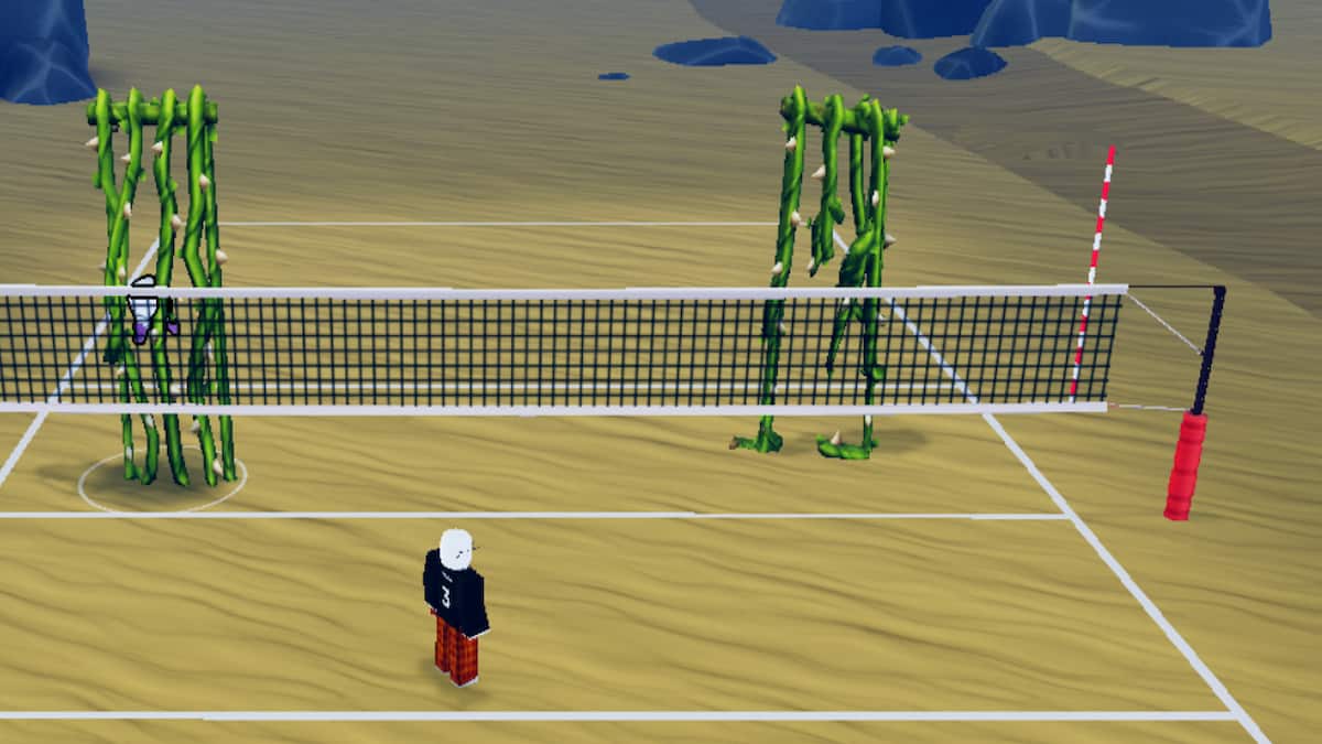 La capacité de vigne du style Ibara dans les légendes du volleyball