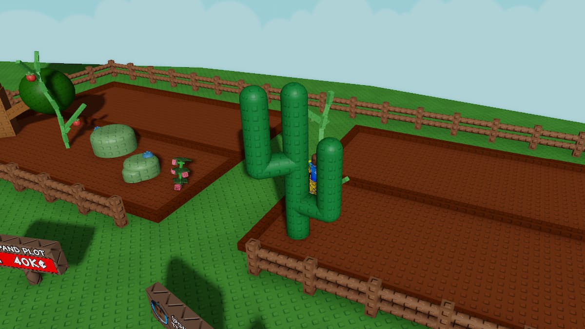 La récolte de cactus dans GAG 2